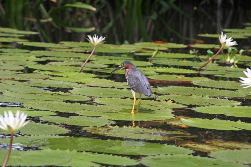 Mexico & Guatemala 2010 - 0962